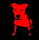 Red Dog Music on MusicRadar