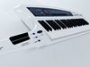 Synth of the year Roland AX-Synth £810