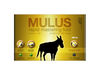 Mulus Rapid Mastering Tool PC/VST, €49