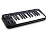 Mobile Keys 25