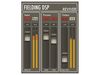 Fielding DSP Reviver blank