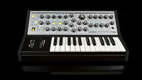 Moog Sub Phatty blank
