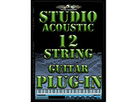 Audio Warrior Studio Acoustic 12-String