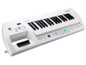 Musikmesse 2010: Roland Lucina AX-09 is more affordable keytar