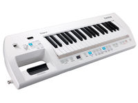 Roland Lucina AX-09