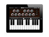 Compatibility: iPad (requires iOS 5.0 or later)