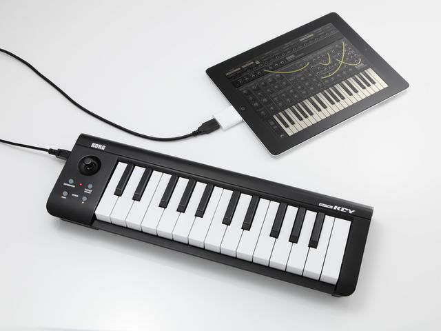 Korg microKey 25 top blank