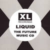 Liquid - Liquid is Liquid