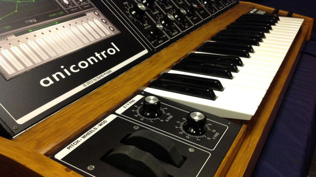Animoog controller 3 blank