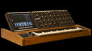 Animoog hardware iPad synth