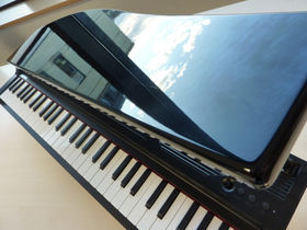 FIRST LOOK: Korg microPiano