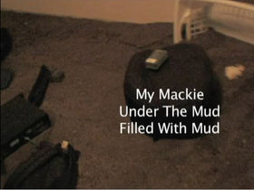 Mackie speakers survive horse dung deluge