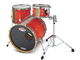 Animal Custom Drums Elite Kit