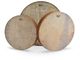 Remo Tar Frame Drums