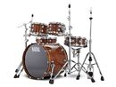 Natal Walnut Kit