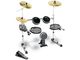 Alesis DM10 Pro electronic drum kit
