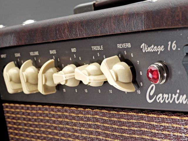 Get boutique tone on a budget from this US-made Carvin.
