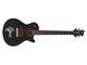 PRS SE Nick Catanese