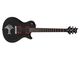 PRS SE Nick Catanese