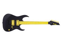 Ibanez GRG010LTD
