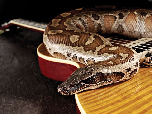 Epiphone Slash 'Appetite' Les Paul* *Snake not included.