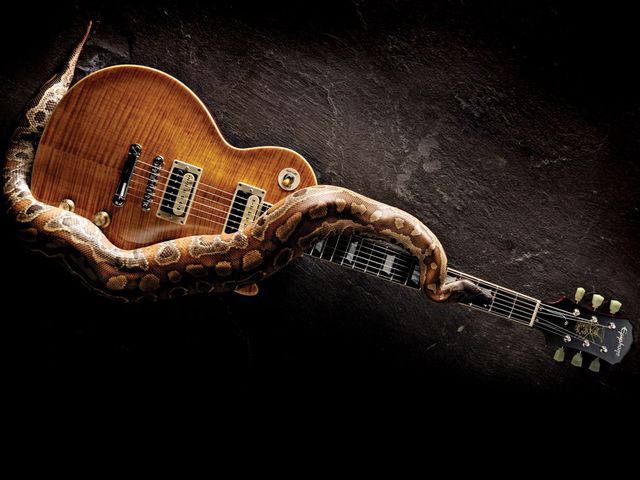 Epiphone Slash 'Appetite' Les Paul The Appetite Amber finish is gorgeous, like an aged Tennessee bourbon.