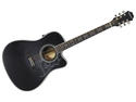 Epiphone Dave Navarro Signature