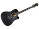 Epiphone Dave Navarro Signature