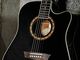 Washburn WD 10SCE