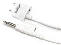 PocketLabWorks iRiffPort