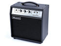 Ampeg GVT5-110