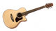 Walden T550CE