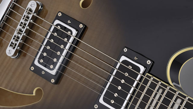 Hagstrom Viking Baritone (pickups) blank