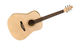 Seagull Excursion Natural Folk SG