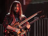 Ron Thal blank