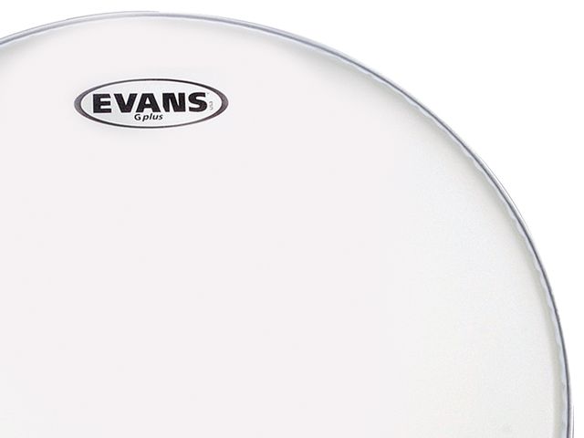 Best tom batter, single ply head: Evans G-Plus Coated