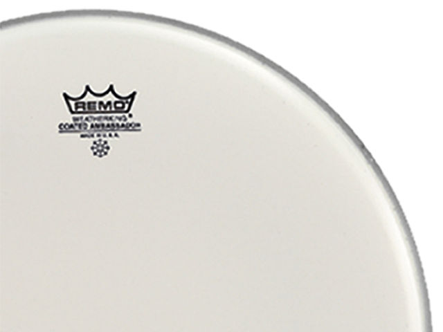 Best snare batter, single ply head: Remo Ambassador Coated