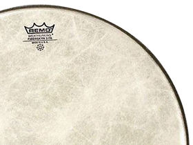 The best drum heads in the world today