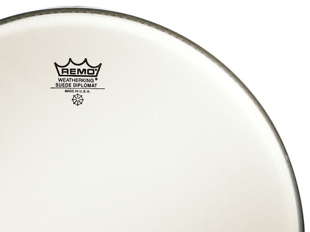 Best specialist head: Remo Suede