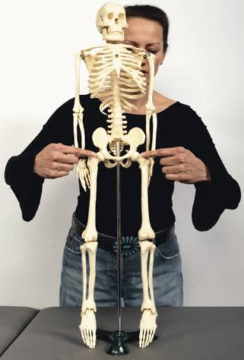Ergonomics