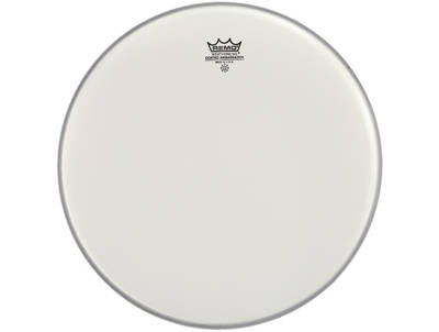 Remo ambassador