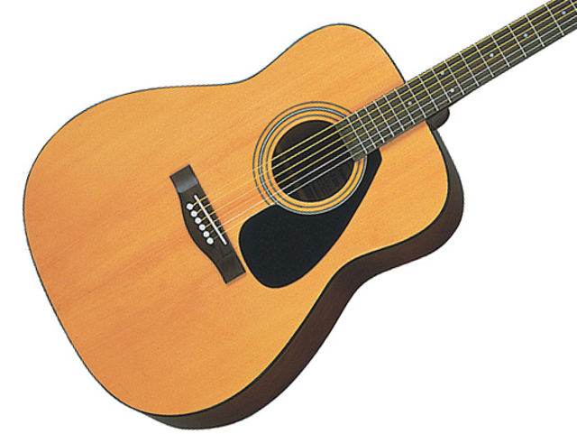 Yamaha F310
