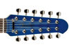 Fender Strat XII build and features blank
