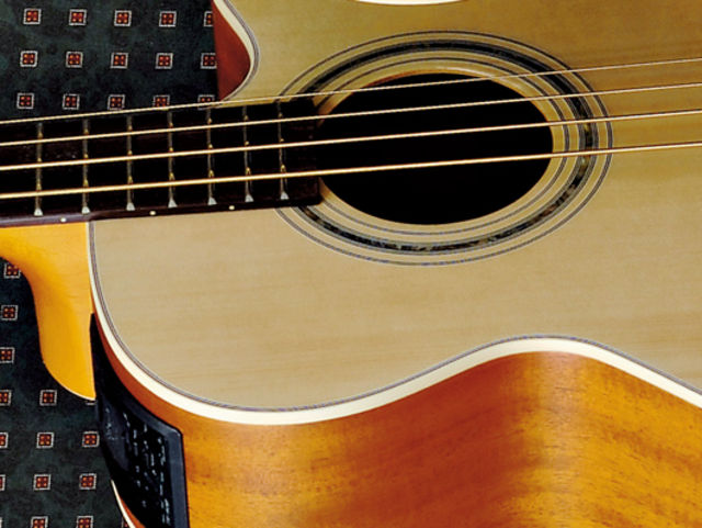 Takamine EG512C sounds, pros and cons