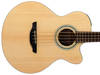 Takamine EG512C build and features