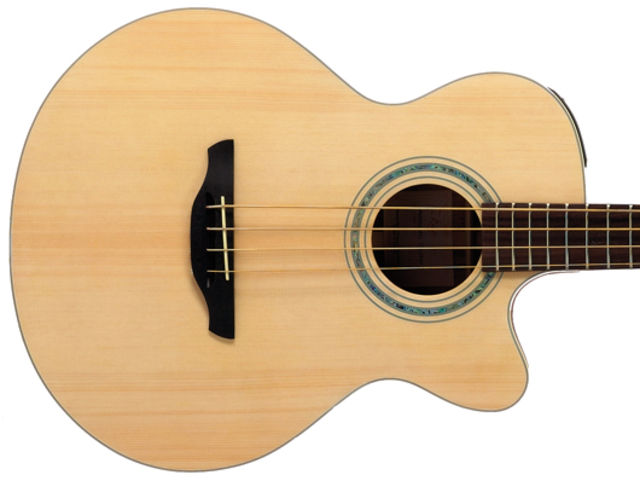 Takamine EG512C build and features
