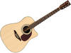 Vintage VEC1100N price and spec