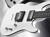Solid basswood body; bolt-on maple neck; rosewood fingerboard, dot inlays; 25.5" scale; 2 x Zebra Motherbuckers; volume, tone (with coil tap), pickup selector; die-cast hardware; white pearl or black metallic finish