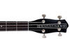 Danelectro '63 Long Scale Bass sounds, pros and cons