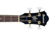 Ibanez AGB200 Artcore Bass sounds, pros and cons